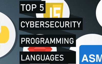 Blog Top 5 Programming Languages