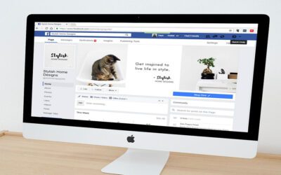 Professional Web Marketing Facebook Marketing Services in Koh Phangan